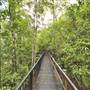 Murray Falls (Girramay National Park)