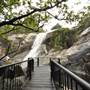 Murray Falls (Girramay National Park)