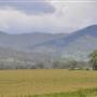 Country Valley Road