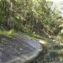 Venus Pools, Stream & Forest