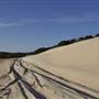 Mulgumpin (Moreton Island) - Little Sand Hills