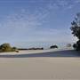 Mulgumpin (Moreton Island) - Little Sand Hills