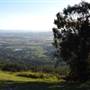 Tamborine Mountain Western Lookout