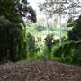 Anstead Bushland Reserve