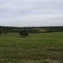 Bushland / Nature Reserve