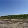 Fort Lytton National Park - General