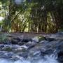 Nerima Gardens - Ipswich