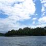 Mulgrave River (Cairns Region)