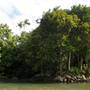 Mulgrave River (Cairns Region)