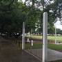 Oxford St, Bulimba