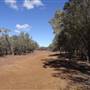 Isisford-Emmet Rd