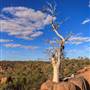 Age Of Dinosaurs (Rangelands)