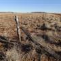 Winton - Kennedy Development Rd