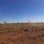 Winton-Jundah Road