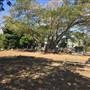 Townsville - Historic Church Street Cemetery