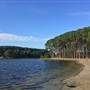 Pine Forest, Riverside Skate Park & Open Sports Fields - Pizzey Park