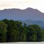 Daintree River