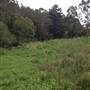 Cloverdale Farm