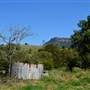 Cloverdale Farm