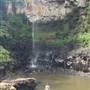 Purling Brook Falls - Springbrook National Park