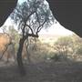 Rock Cavern (Rangelands Station)