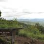 John Shepherd Lookout
