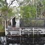 Harrys Hut Area (Noosa Everglades)