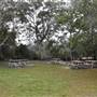 Harrys Hut Area (Noosa Everglades)