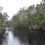 The Narrows (Noosa Everglades)