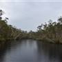 Lake Como (Noosa Everglades)