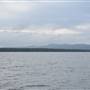 Lake Cootharaba (Noosa Everglades)