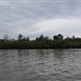 Lake Cootharaba (Noosa Everglades)