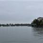 Noosa Everglades - Tewantin Docks