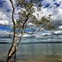 Karragarra Island