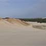 Mulgumpin (Moreton Island) - Big Sand Hills
