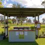 Sheep Farm & Dairy - Towri Sheep Cheeses