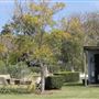 Sheep Farm & Dairy - Towri Sheep Cheeses