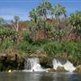 Lawn Hill Gorge (Camooweal Region)
