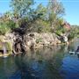 Lawn Hill Gorge (Camooweal Region)