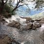 Goomoolahra Falls - Springbrook NP