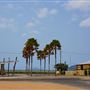 Cardwell - Coastline & Jetty