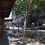 Edward Street between Turbot & Charlotte Sts