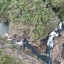 McKenzie Falls
