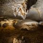 Capricorn Caves