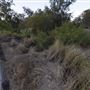 Worley Park