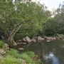 Millstream Falls