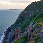 Kemp Beach and Bluff Point Scenic Walk