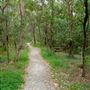 Toohey Forest - Sandstone Circuit