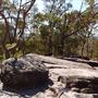 Karawatha Forest Park - Overview