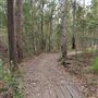 Bloodwood Track - Whites Hill Reserve
